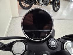2026 Royal Enfield BEAR 650 WHITE 249