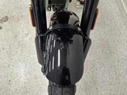 2026 Royal Enfield BEAR 650 WHITE 249