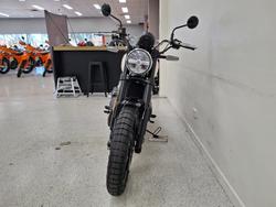 2026 Royal Enfield BEAR 650 WHITE 249