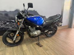2009 Suzuki GS500 BLUE