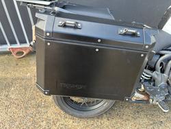 2019 Triumph TIGER 1200 XCa WHITE