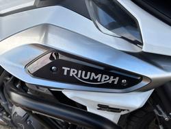 2019 Triumph TIGER 1200 XCa WHITE