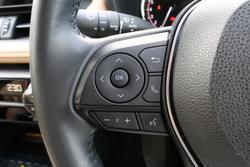 2021 Toyota RAV4 Cruiser