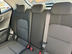 2024 Kia Picanto