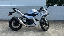 2024 Kawasaki NINJA 500 White