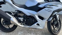 2024 Kawasaki NINJA 500 White