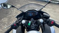 2024 Kawasaki NINJA 500 White