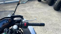 2024 Kawasaki NINJA 500 White