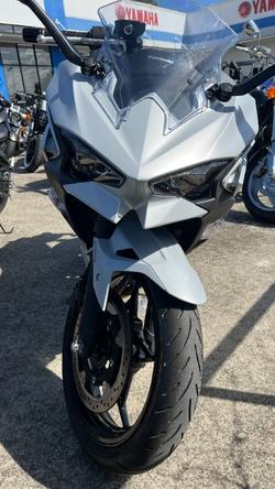 2024 Kawasaki NINJA 500 White