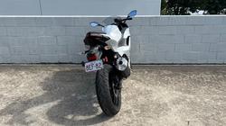 2024 Kawasaki NINJA 500 White