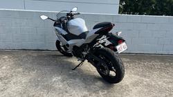 2024 Kawasaki NINJA 500 White