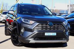 2021 Toyota RAV4 Cruiser