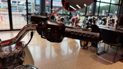 2025 Harley-Davidson Fat Boy Gray Ghost (FLSTFI) Softail