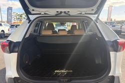 2024 Toyota RAV4 Cruiser