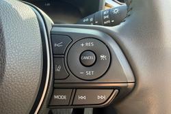 2024 Toyota RAV4 Cruiser
