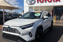 2024 Toyota RAV4 Cruiser