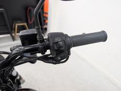 2017 Harley-davidson XG500 STREET 500 Black