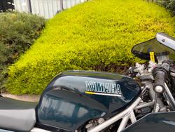 1998 Yamaha TRX850