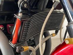 1992 Kawasaki Zephyr 1100 (ZR1100) Zephyr Red