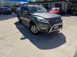 2019 Great Wall Steed