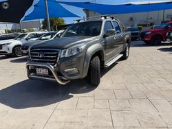 2019 Great Wall Steed
