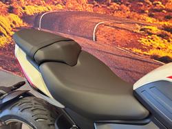 2026 Triumph Trident 800 Trident Grey