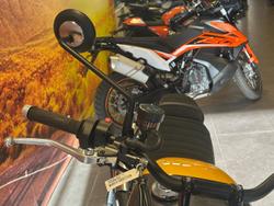 2026 Triumph Scrambler 900 Scrambler Yellow