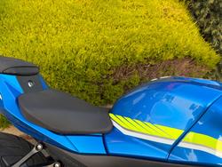 2017 Suzuki GSX-R1000 Blue