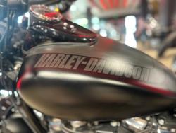 2020 Harley-Davidson Fat Bob 114 (FXFBS) Softail Black