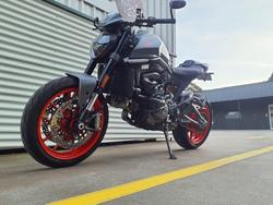 2023 Ducati Monster + 937 Monster Grey