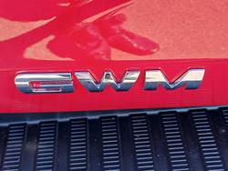 2021 GWM Ute Cannon-X