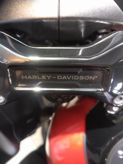 2025 Harley-Davidson Road Glide 117 (FLTRX) Touring