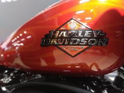 2025 Harley-Davidson Road Glide 117 (FLTRX) Touring