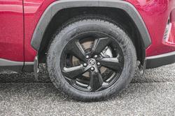 2020 Toyota RAV4 Cruiser