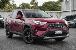 2020 Toyota RAV4 Cruiser
