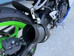 2024 Kawasaki NINJA 500 SE (LAMS) Green