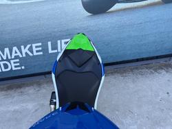 2024 Kawasaki NINJA 500 SE (LAMS) Green