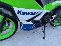 2024 Kawasaki NINJA 500 SE (LAMS) Green