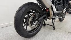 2026 Triumph TIGER 900 GT PRO ALPINE