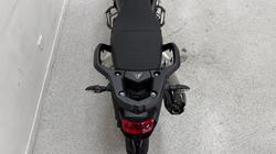 2026 Triumph TIGER 900 GT PRO ALPINE