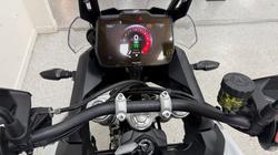 2026 Triumph TIGER 900 GT PRO ALPINE