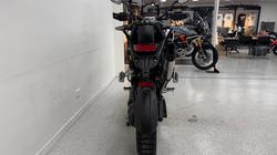 2026 Triumph TIGER 1200 RALLY PRO DESERT
