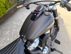 2021 HARLEY-DAVIDSON FLSL SOFTAIL SLIM (107)