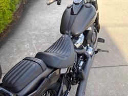 2021 HARLEY-DAVIDSON FLSL SOFTAIL SLIM (107)
