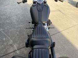 2021 HARLEY-DAVIDSON FLSL SOFTAIL SLIM (107)