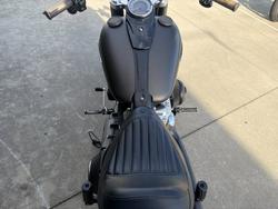2021 HARLEY-DAVIDSON FLSL SOFTAIL SLIM (107)
