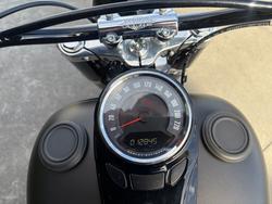 2021 HARLEY-DAVIDSON FLSL SOFTAIL SLIM (107)