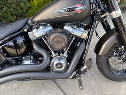 2021 HARLEY-DAVIDSON FLSL SOFTAIL SLIM (107)