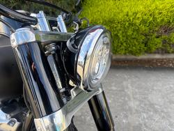 2021 HARLEY-DAVIDSON FLSL SOFTAIL SLIM (107)