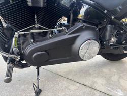 2021 HARLEY-DAVIDSON FLSL SOFTAIL SLIM (107)